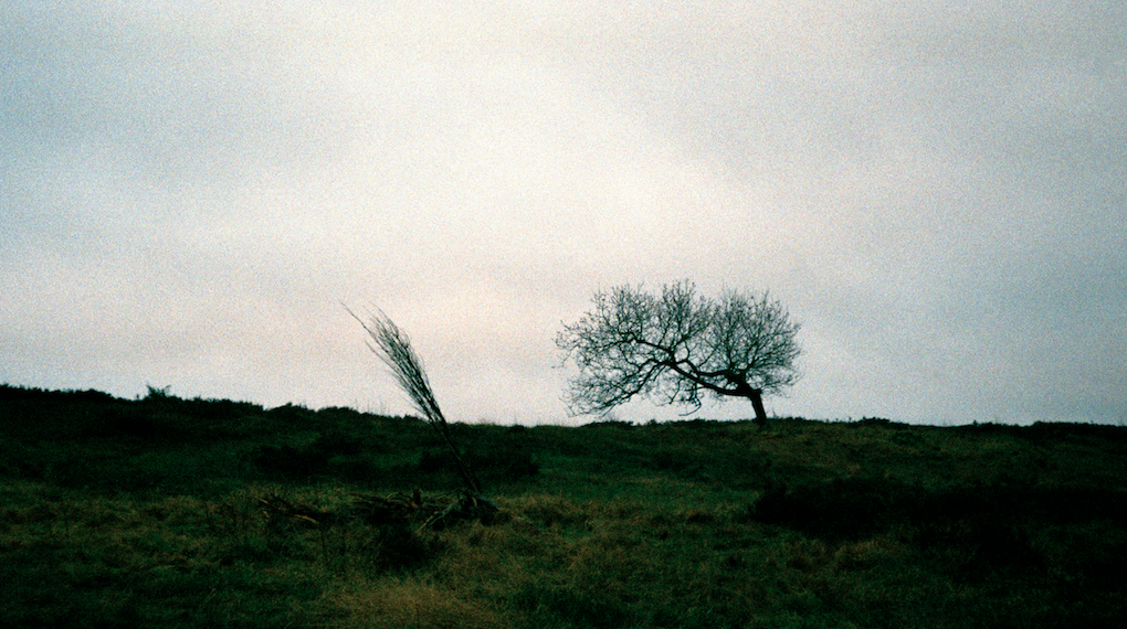untitled_2013_test4